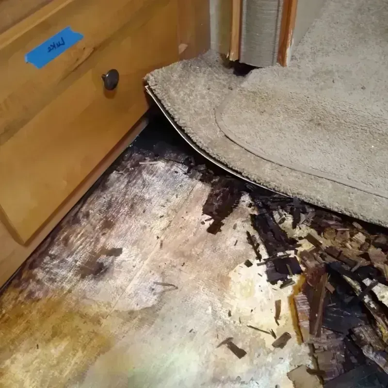 Best Wood Floor Water Damage Service in Foster County, ND